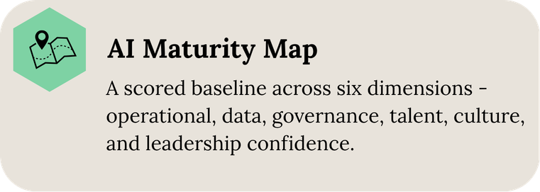 AI maturity map